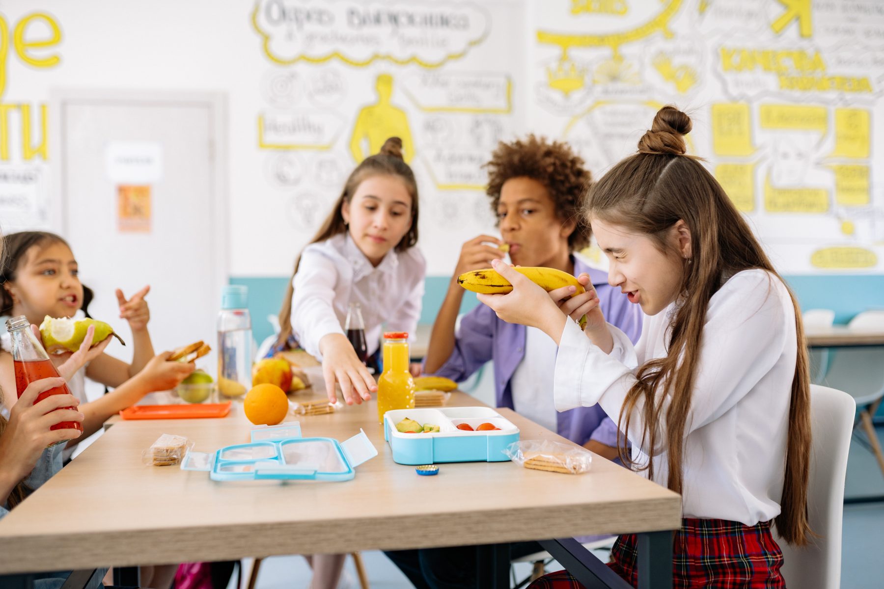 OCD - Obsessive-Compulsive Disorder